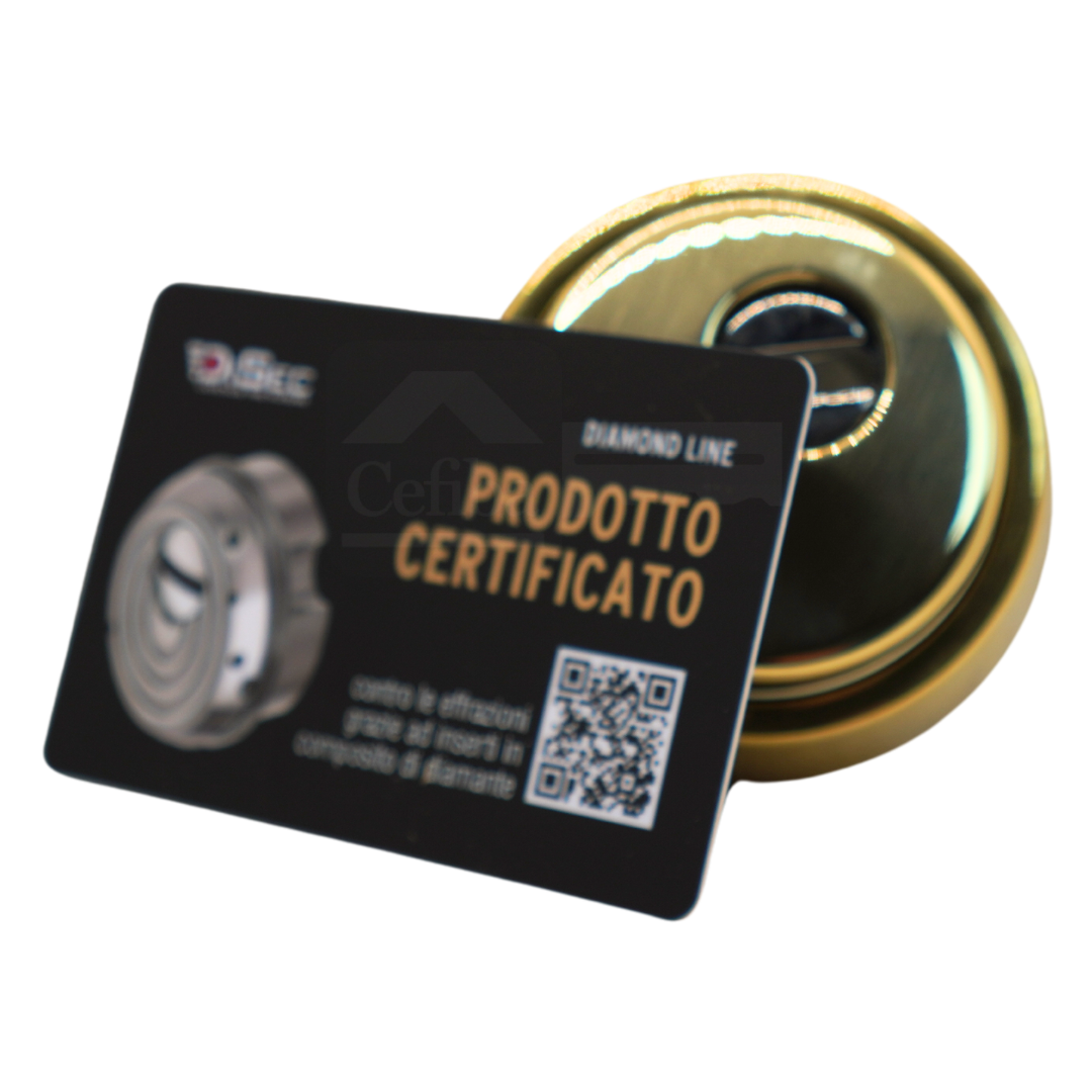 Disec Diamond BKD280 – Escudo Grado 4