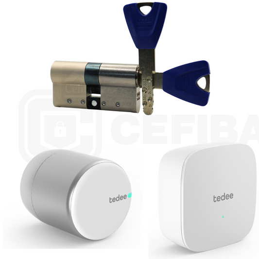 Tedee PRO Premium pack (tedee pro+ Bridge + keso premium)