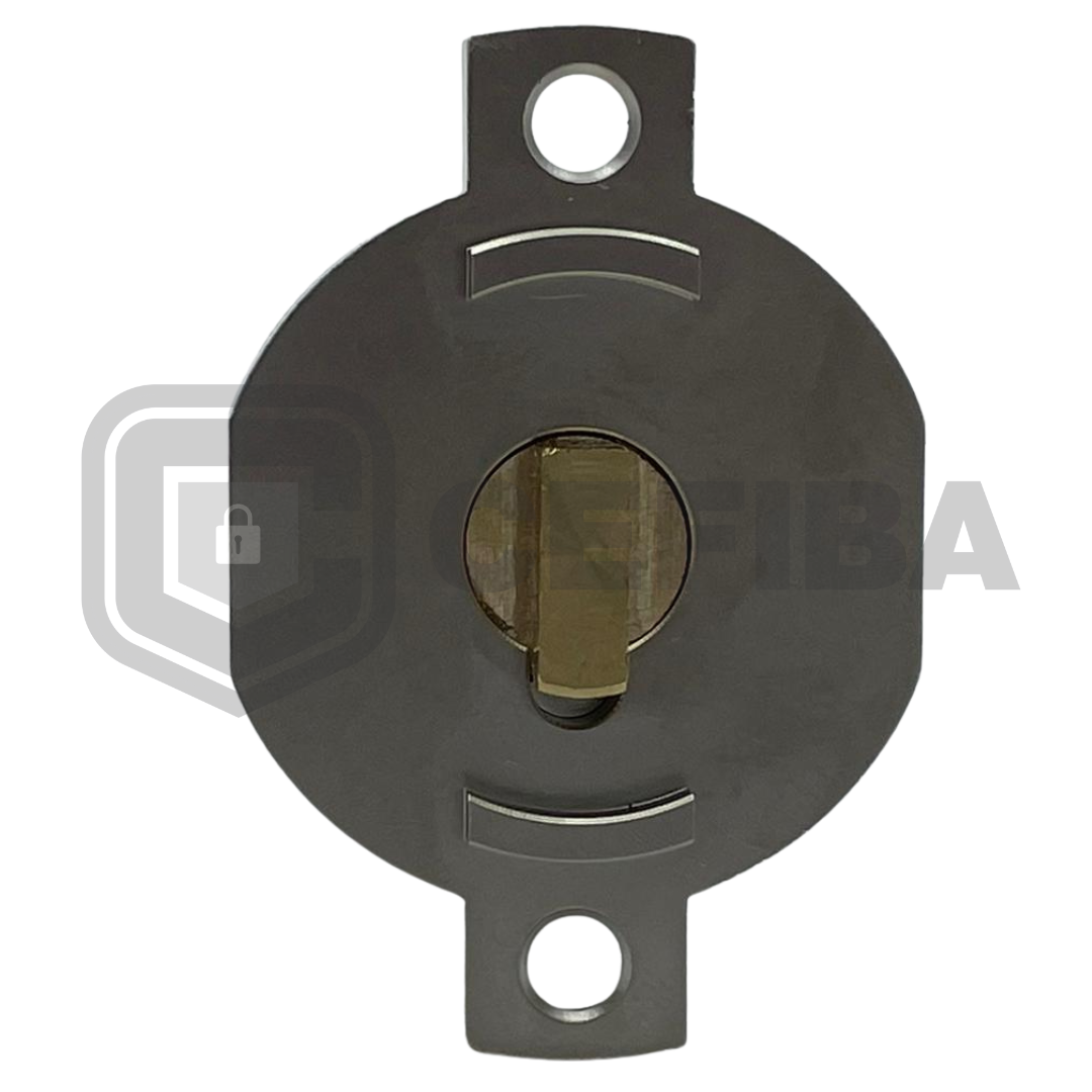 Cilindro Fichet Adaptado TEDEE