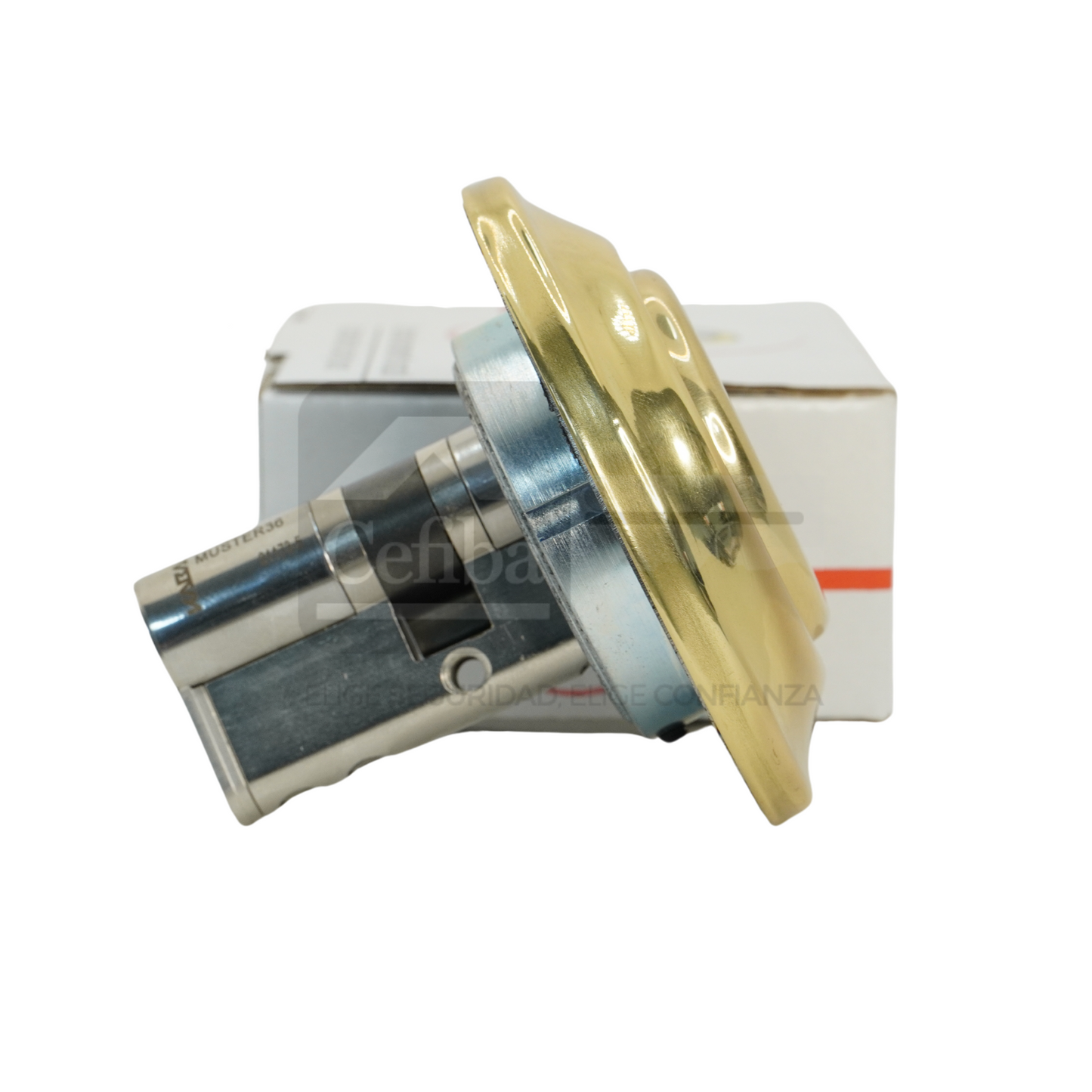 Escudo Azzi Fausto PREMIUM Roscado