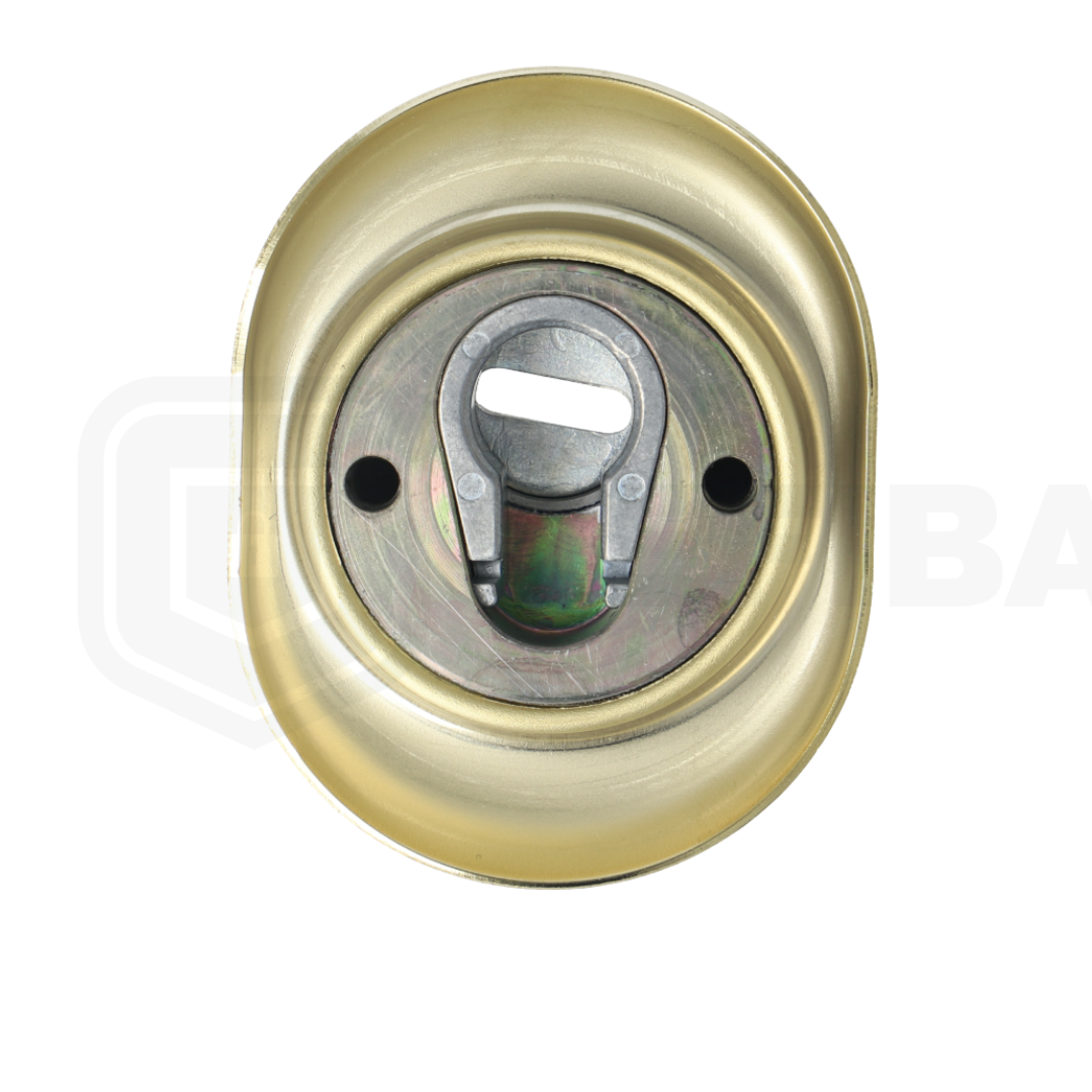 Escudo DISEC KRIPTON BD251-25
