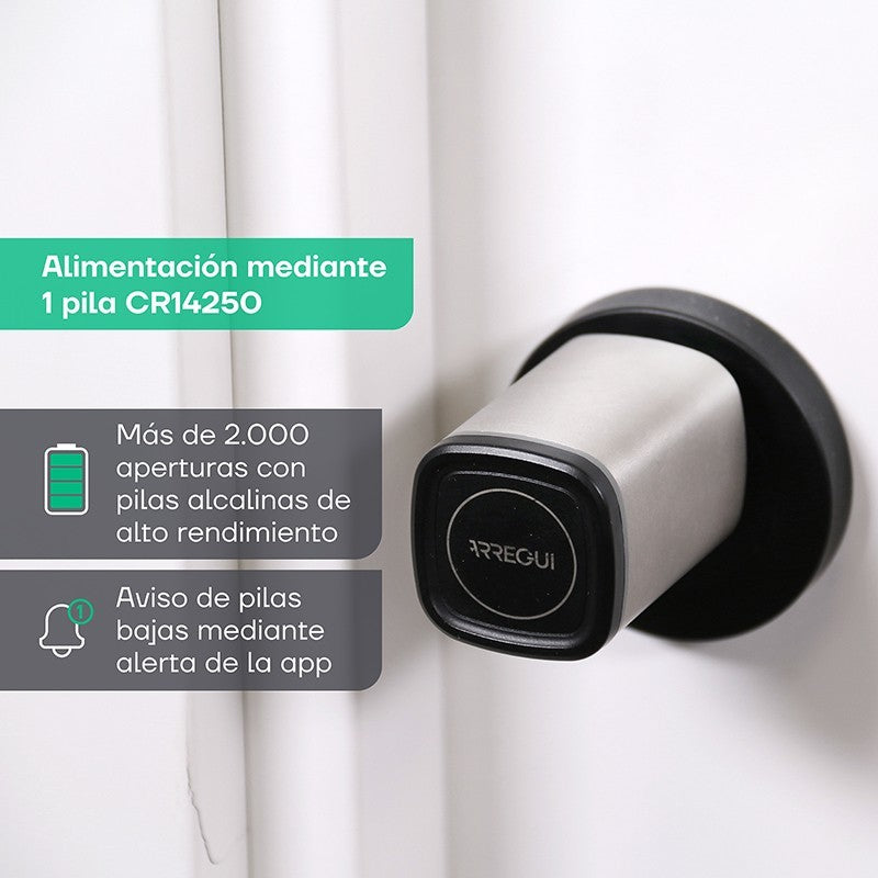 Cilindro electrónico Arregui Cyclo